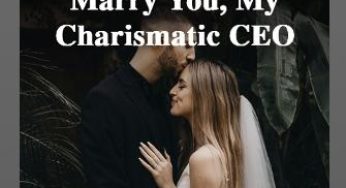 I Came Back To Marry You, My Charismatic CEO