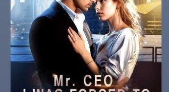 Mr. CEO, I Was Force To Marry You