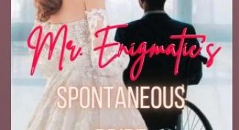 Mr. Enigmatic’s Spontaneous Bride