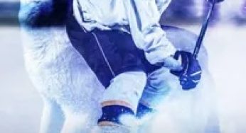My Hockey Alpha.