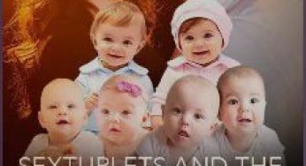 Sextuplets And The Uninformed CEO