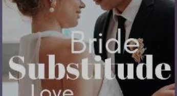 Substitute Bride, Substitute Love