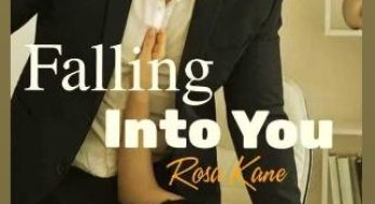 Billionaire Series; Falling Into You