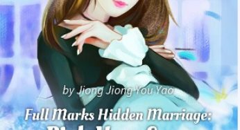 Full Marks Hidden Marriage: Pick Up a Son, Get a Free Husband