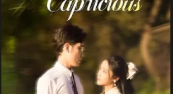 Hi, Mr. Capricious