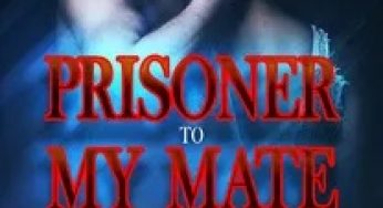 Prisoner To My Mate