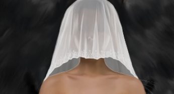 The Alpha’s Bride