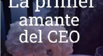 The CEO’s First Love