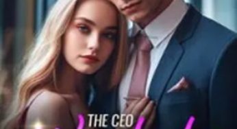 The CEO Wants to Divorce Me