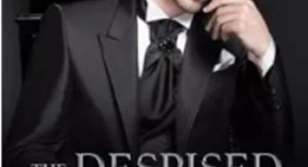 The Despised Son-in-law Strikes Back