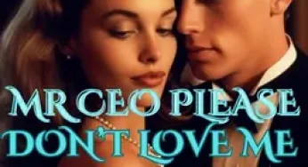 Mr Ceo, Please Dont Love Me