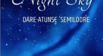 Stars in the Night Sky