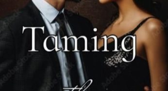 Taming The Heartless Mafia
