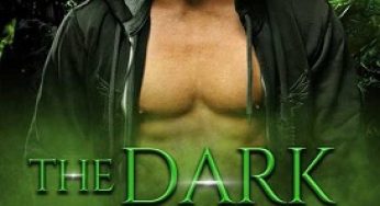 The Dark Protector