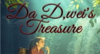 Da D,wei’s Treasure
