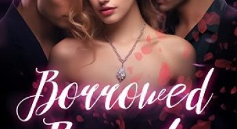 Borrowed Beauty By Maureen Atsali |Novel Synopsis