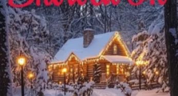 Snowed In By Shaylee Spalding | Novel Synopsis
