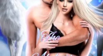The Alpha’s Second chance mate By gift| Novel Synopsis