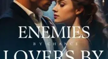 Enemies by chance, Lovers by choice By wonderful | Novel Synopsis