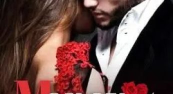 Money Darling By WANDA FITZGERALD | Novel Synopsis