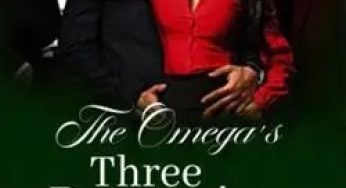 The Omega’s Three Possessive Alpha Mates By H. H. Sun | Novel Synopsis