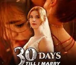 30 Days Till I Marry My Husband's Nemesis