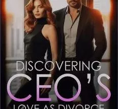 Discovering CEO's Love As Divorce Looms
