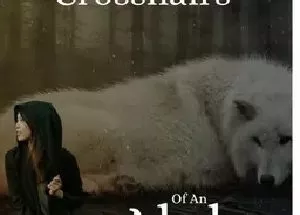 In A Crosshairs Of An Alpha