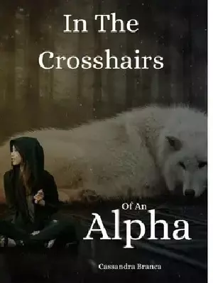 In A Crosshairs Of An Alpha