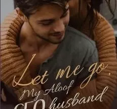 Let Me Go, My Aloof CEO Husband