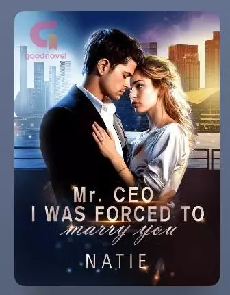 Mr. CEO, I Was Force To Marry You