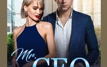 Mr. CEO, I came To love You