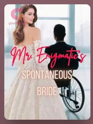 Mr. Enigmatic's Spontaneous Bride