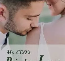 Mr. CEO's Priceless Lover