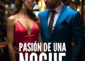 One Night Passion