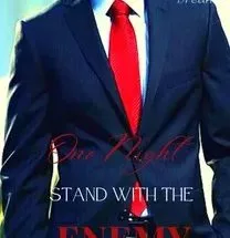 One Night Stand With My Enemy