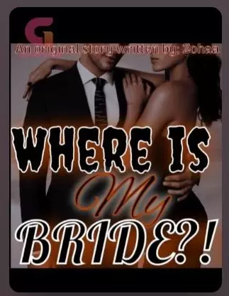Where Is My Bridge!