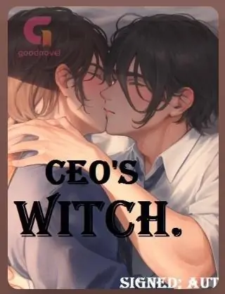 CEO'S WITCH
