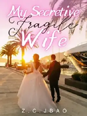 My Secretive Fragile Wife