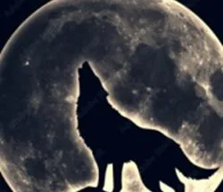 My stay with the Alpha