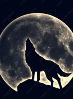 My stay with the Alpha