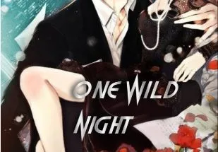 One Wild Night