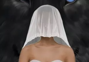 The Alpha's Bride