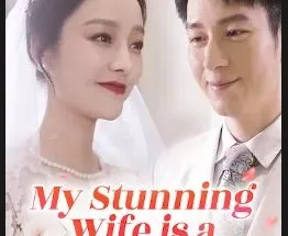 The Beautiful Wife Doctor 1