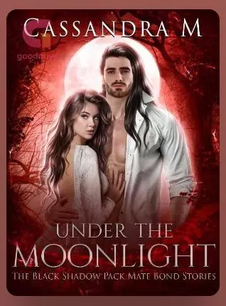 Under The Moonlight