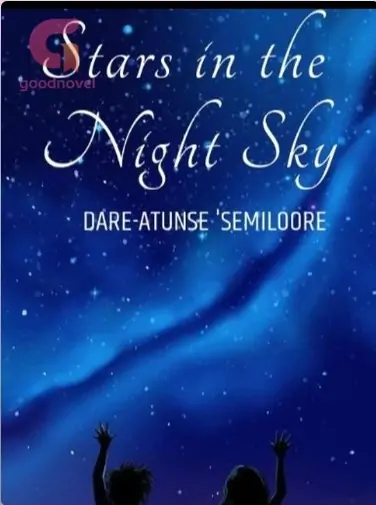 STARS IN THE NIGHT SKY 2
