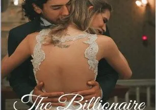 The Billionaire Meets The Fierce Lawyer